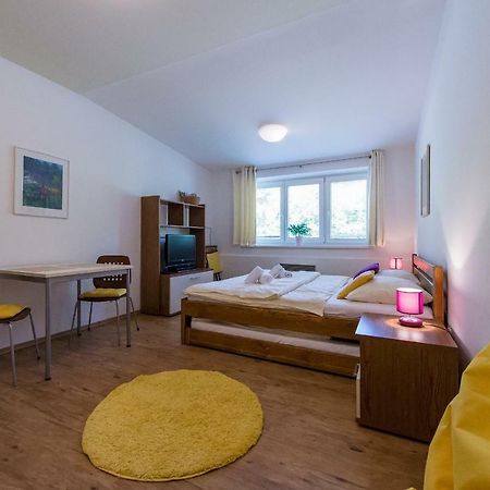 Apartman Lipno 20 Липно-над-Влтавой Экстерьер фото