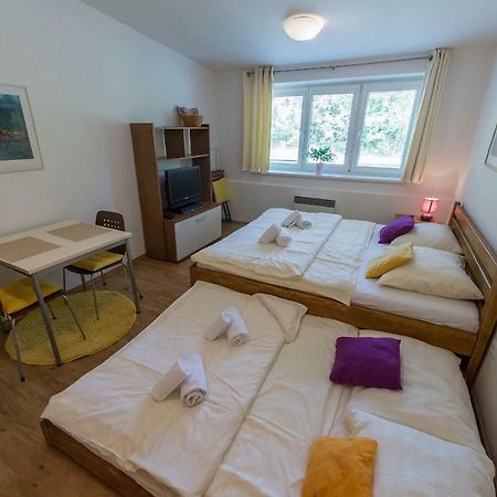 Apartman Lipno 20 Липно-над-Влтавой Экстерьер фото