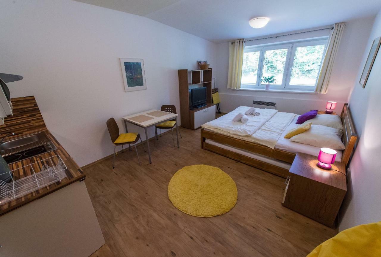 Apartman Lipno 20 Липно-над-Влтавой Экстерьер фото