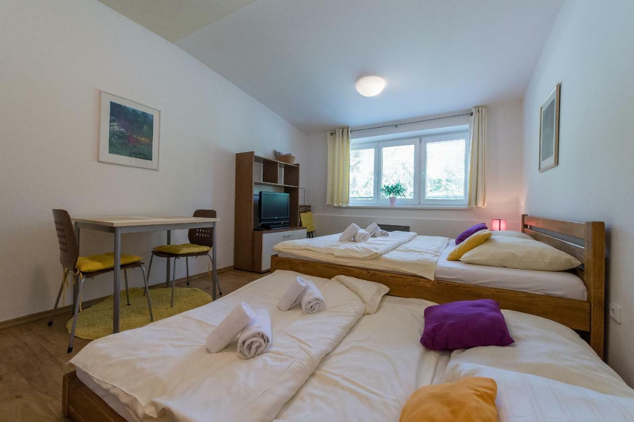Apartman Lipno 20 Липно-над-Влтавой Экстерьер фото