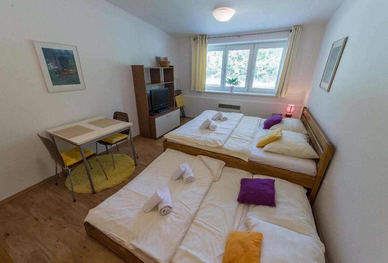 Apartman Lipno 20 Липно-над-Влтавой Экстерьер фото